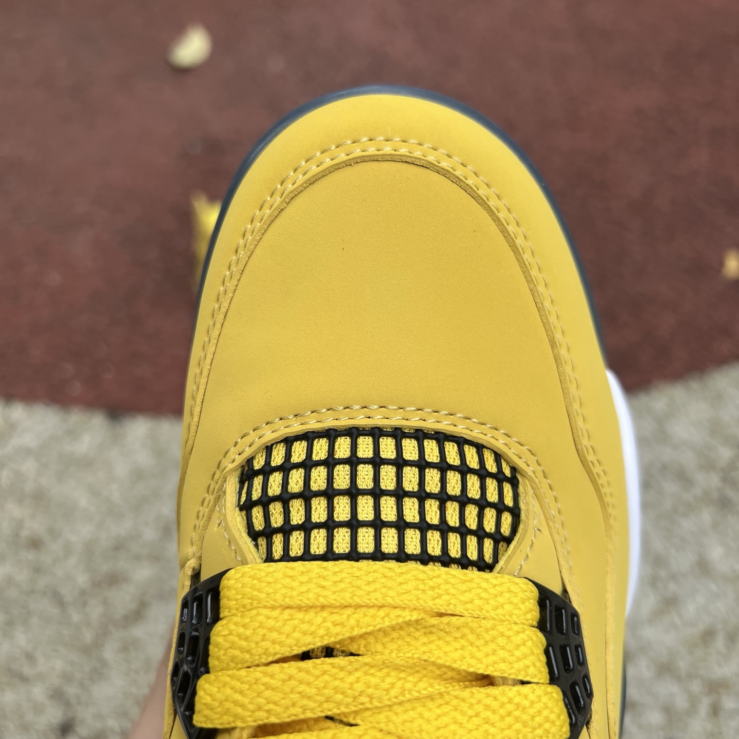 Nike Jordan shoe